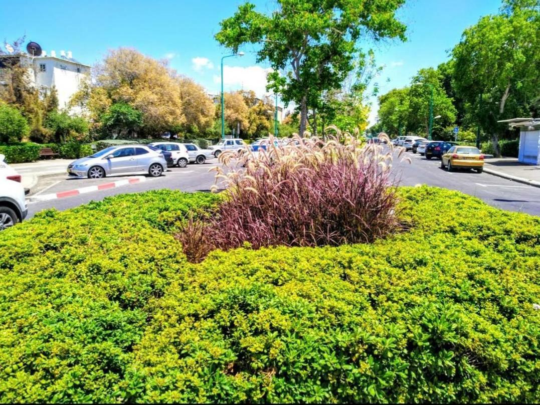 ハイファאירוח על היםアパートメント エクステリア 写真